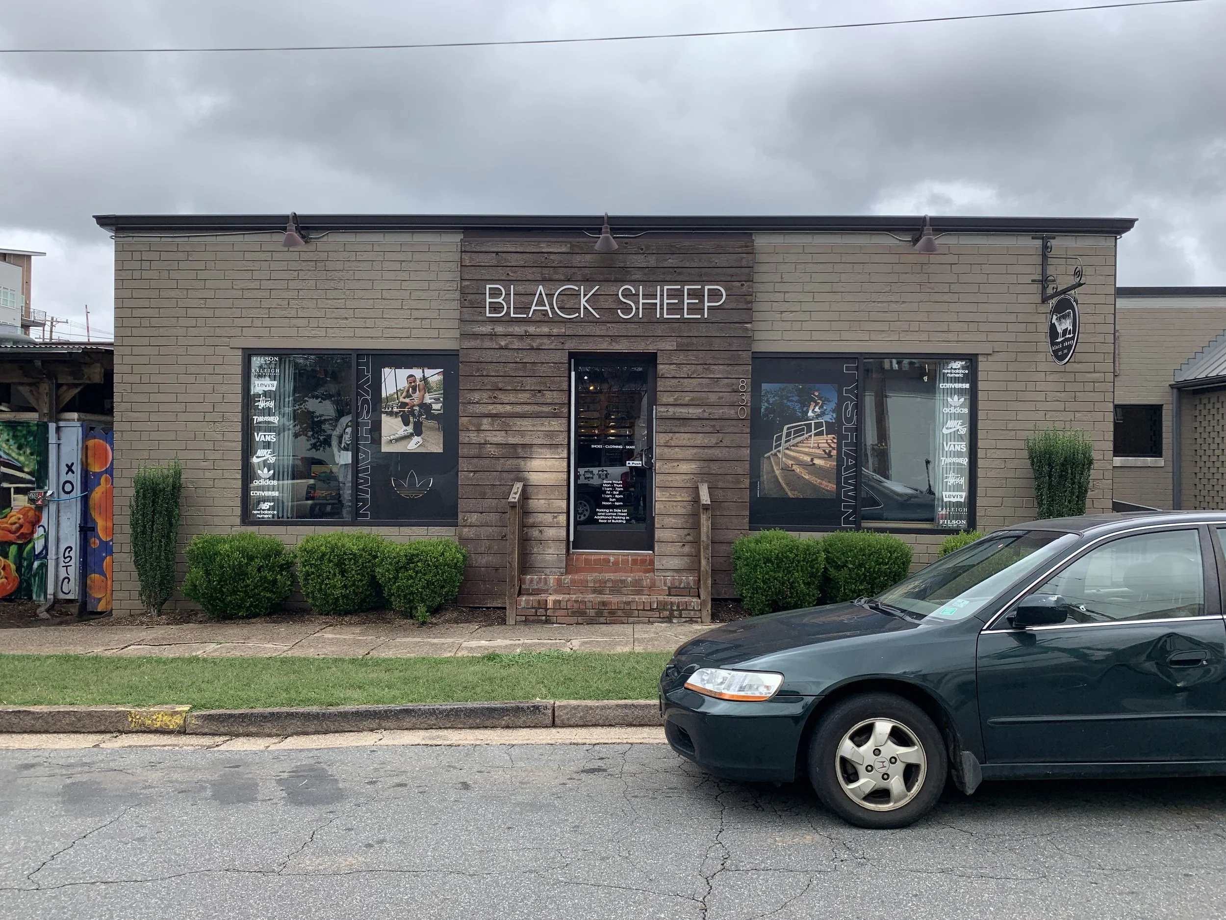 Black Sheep 2.jpeg