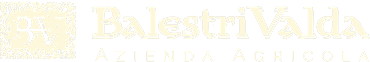 logo-1.png