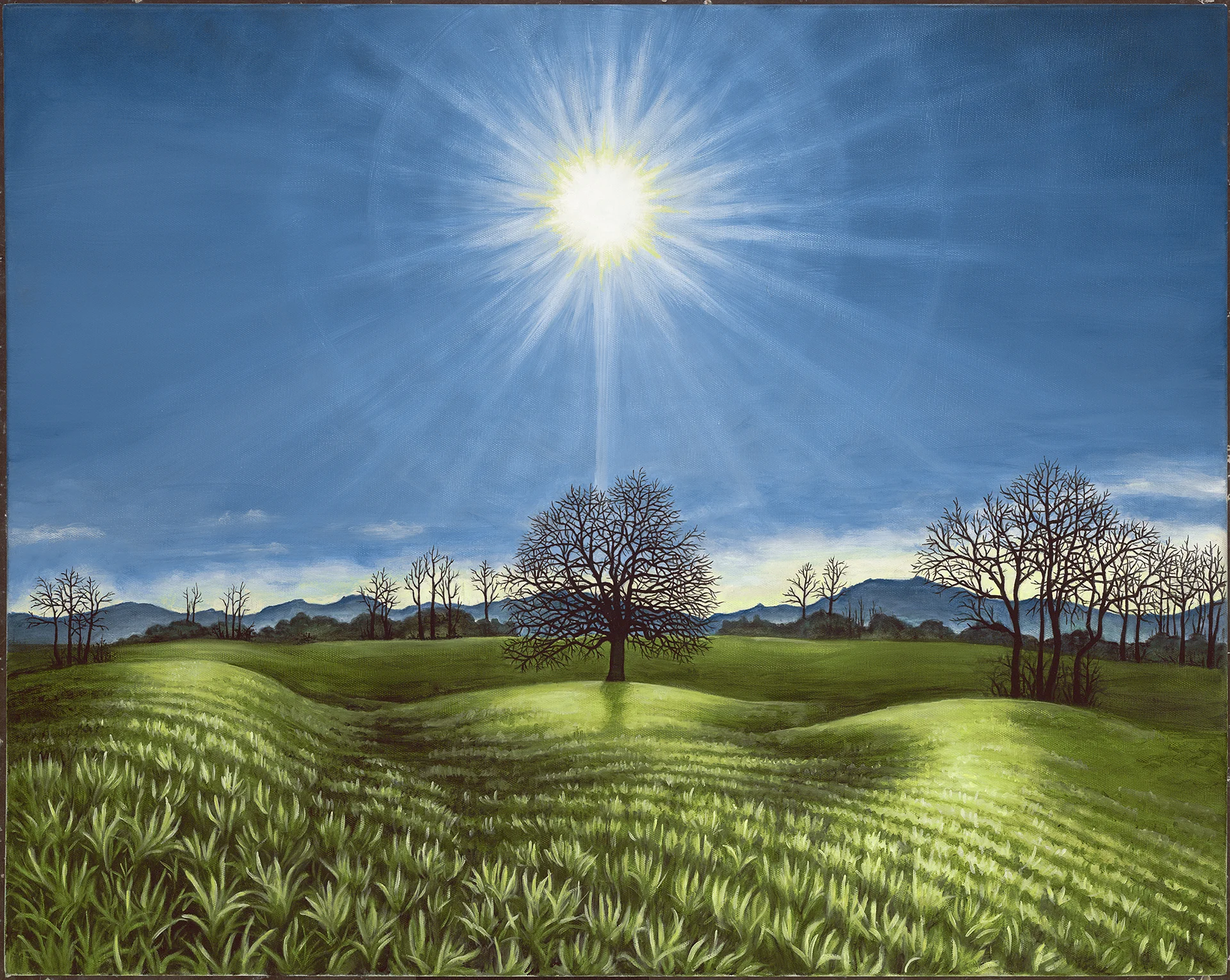February Sun.jpg