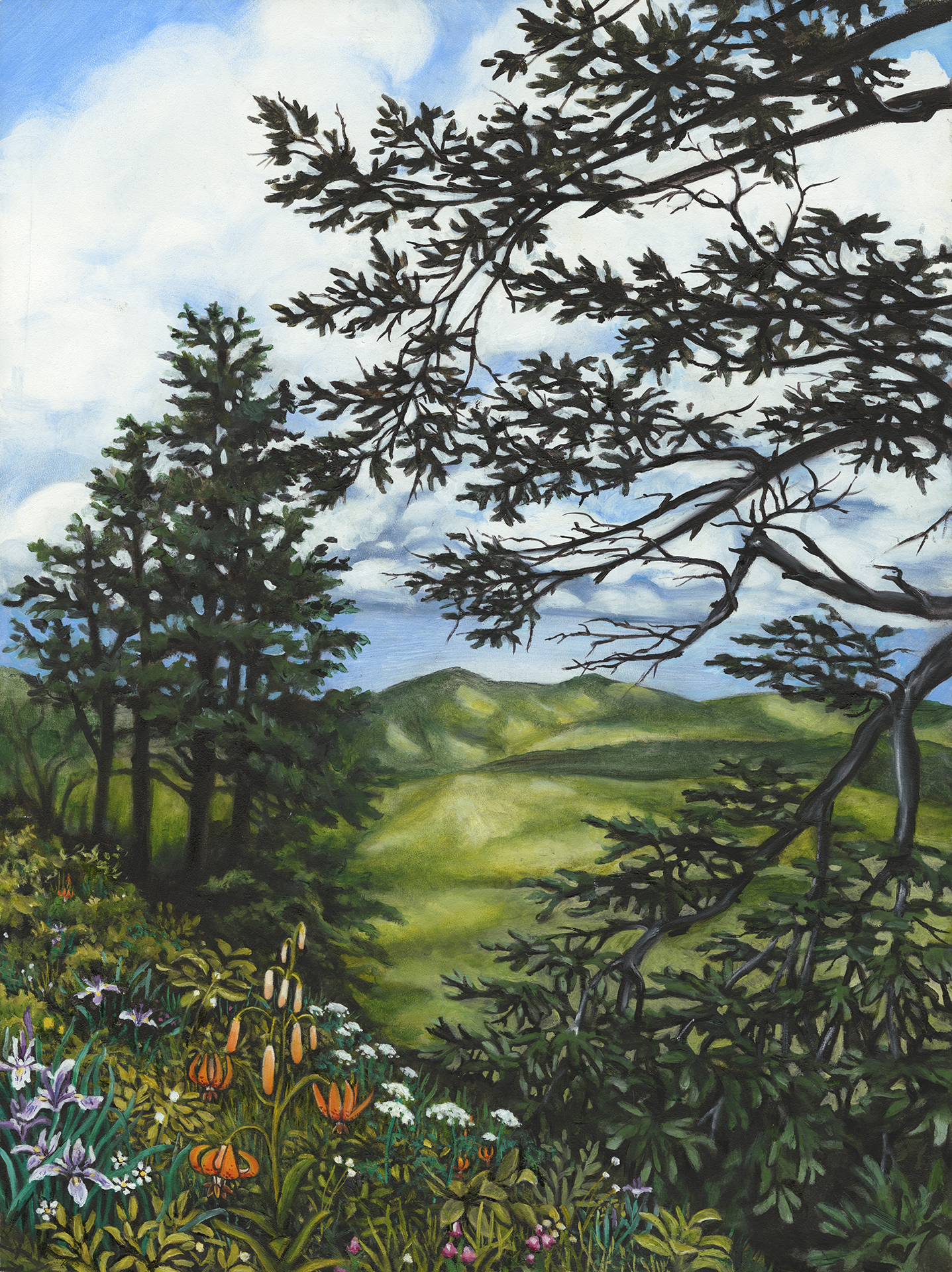 Saddle Mountain.jpg
