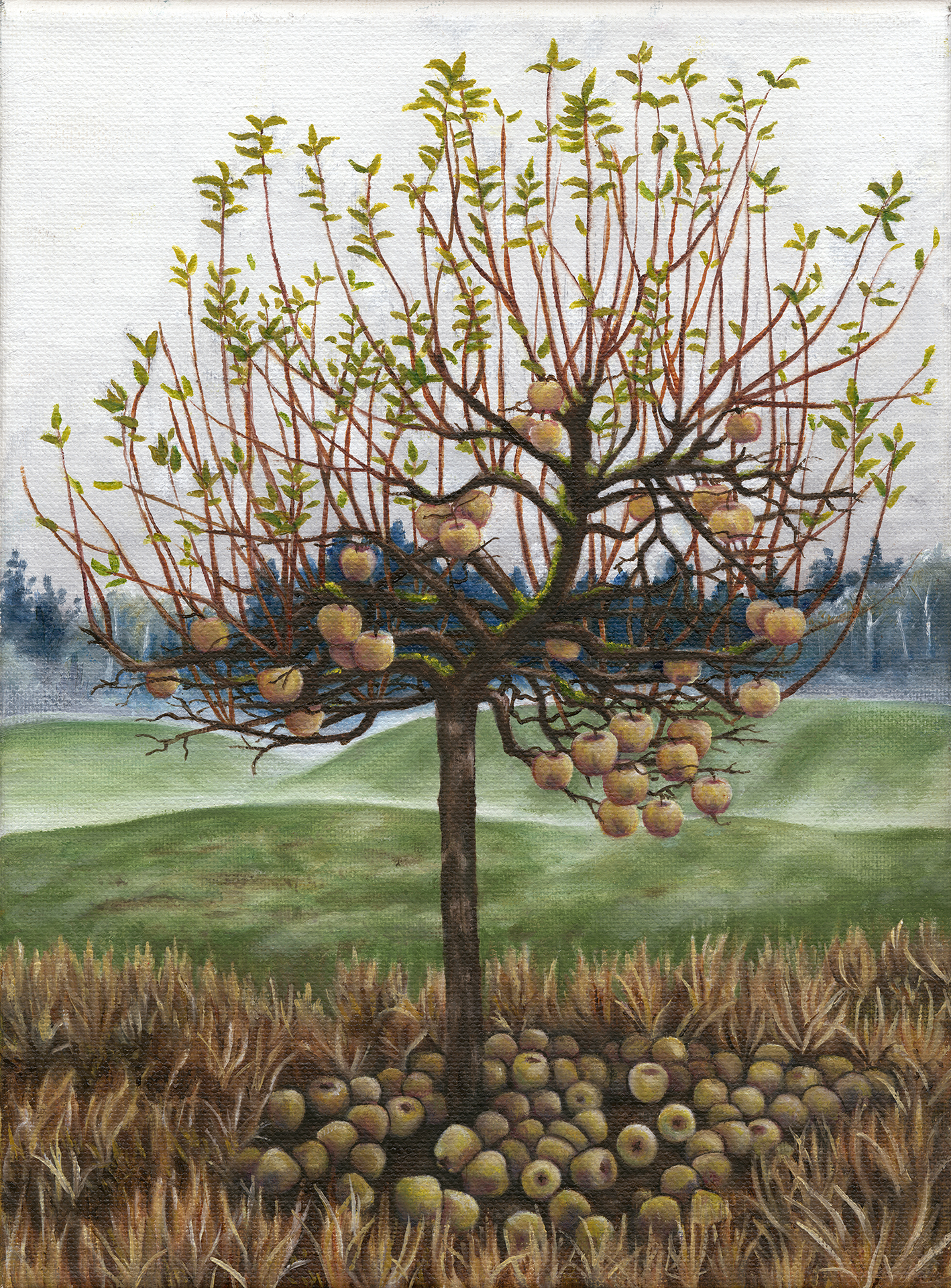 The Winter Apple.jpg