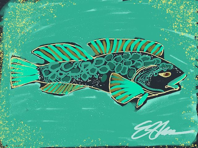 The Green Ling. This rare #Lingcod with a nearly neon turquoise flesh &mdash;  a mystery to biologists &mdash; is known for being tender and sensitive with artistic flare. Green Lings are less aggressive than their cousins #Cabezon, though both are s
