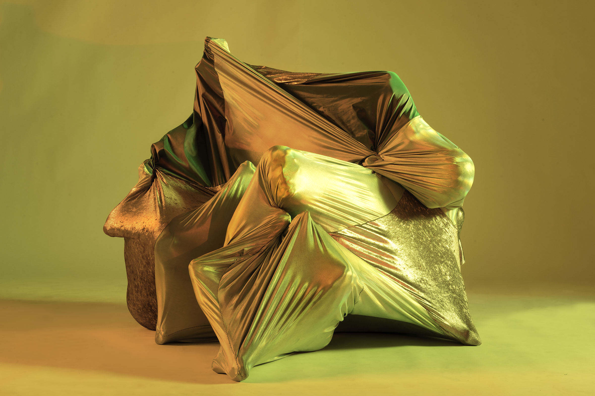 In the Skin of a Painting, Gold Composition