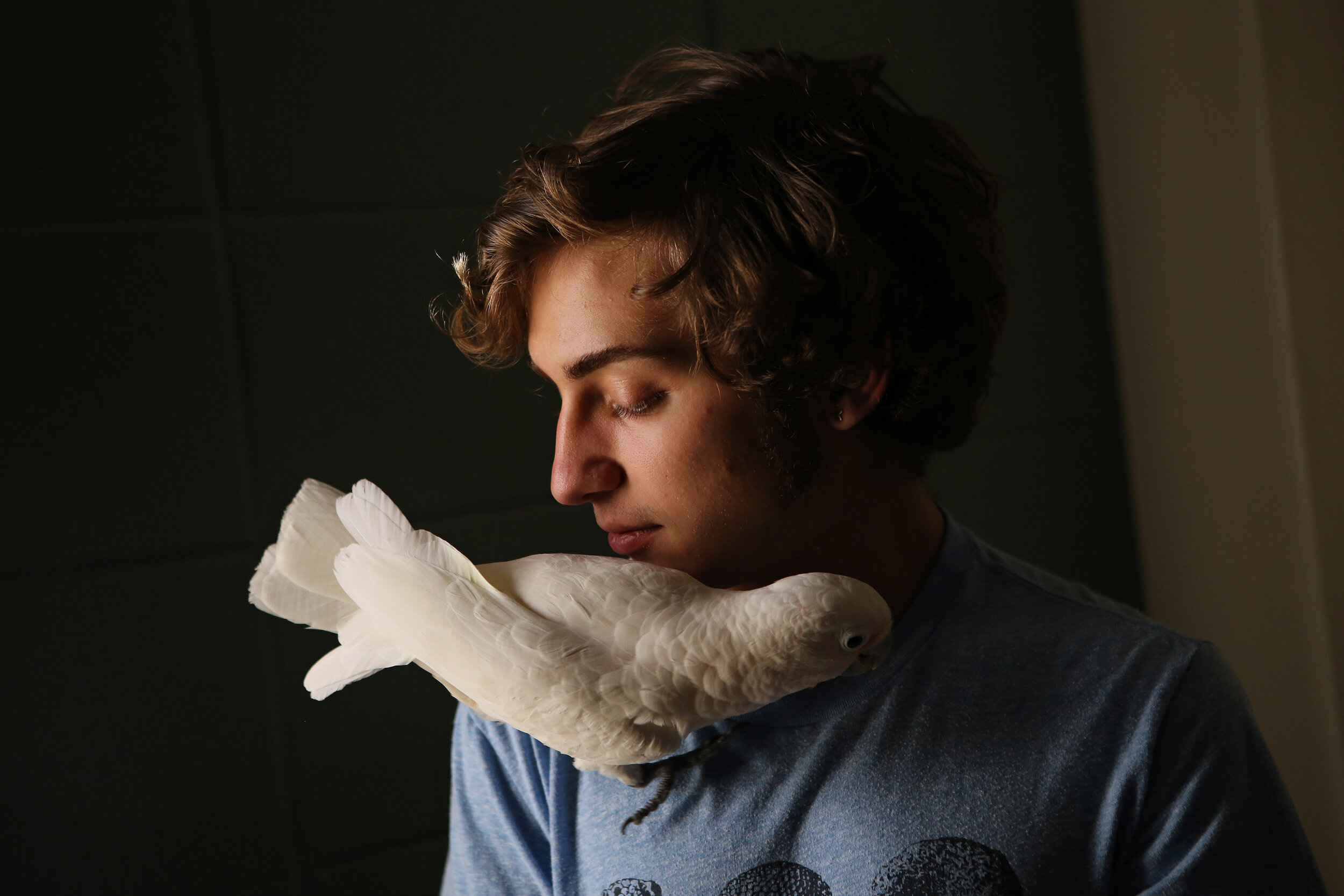  Biology freshman Brady Lee shares a moment with his emotional support cockatoo. Alpine — or Al for short —  is therapeutic to his social anxiety and depression.  Thalia Juarez/The Daily Texan  
