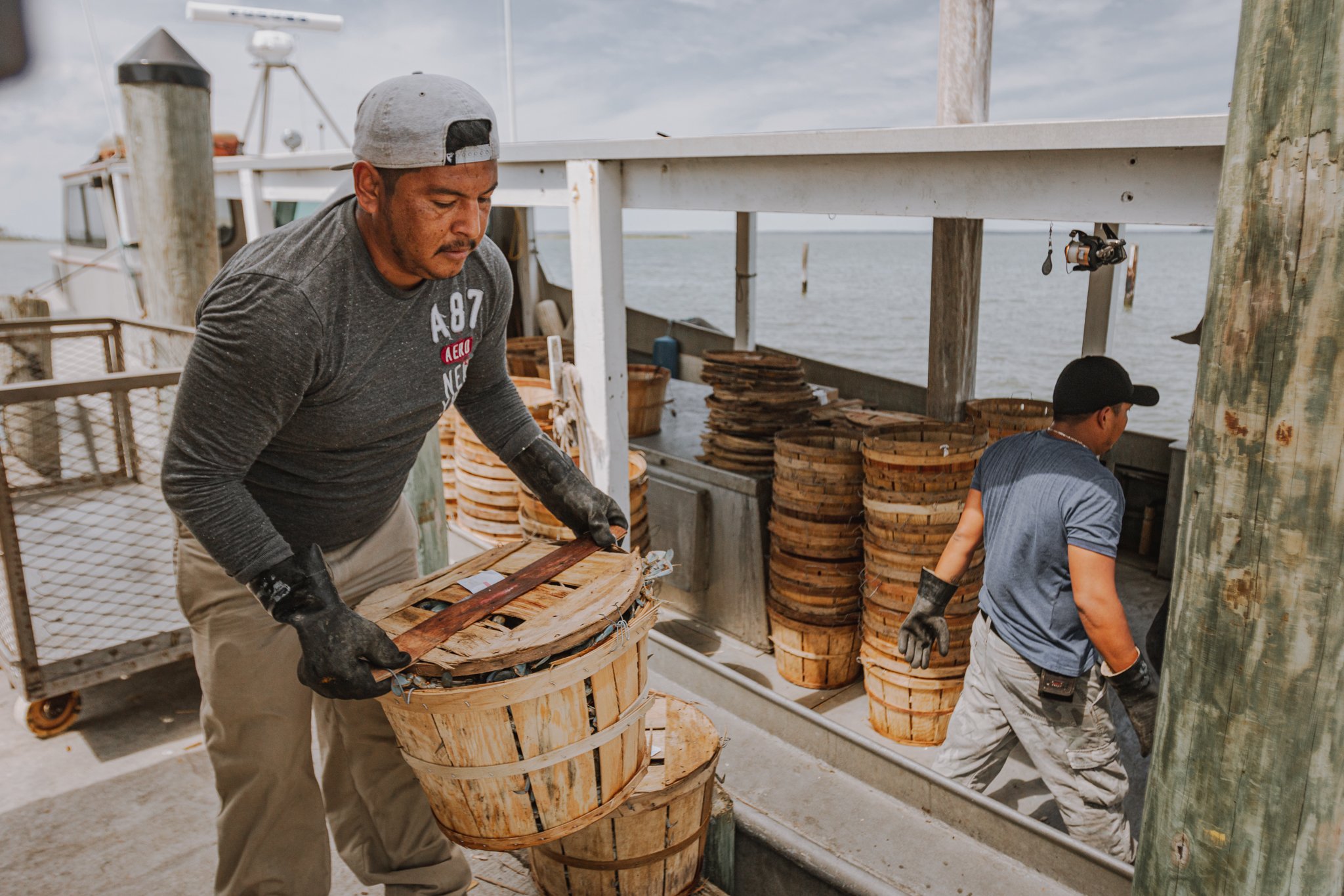  Patricio Tovar Herrera, 27, of San Luis Potosí (left) and Sergio González, 26, of Veracruz Mexico (right) help discharge a Lindy’s Seafood boat carrying hundreds of blue crabs from Tangier Island. Visa shortages have been a problem for the seafood
