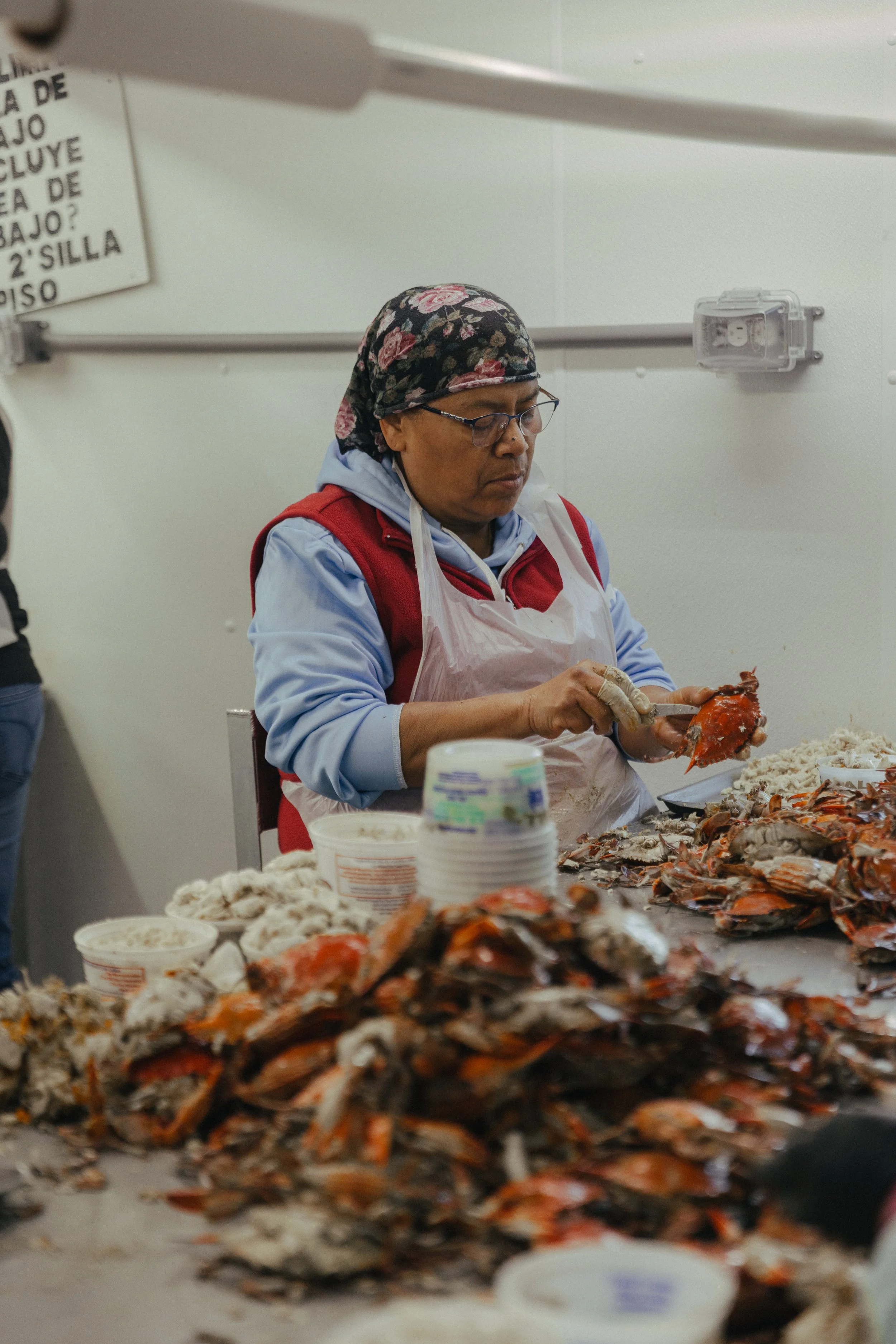 crab-workers-climate-high-res-04.jpg