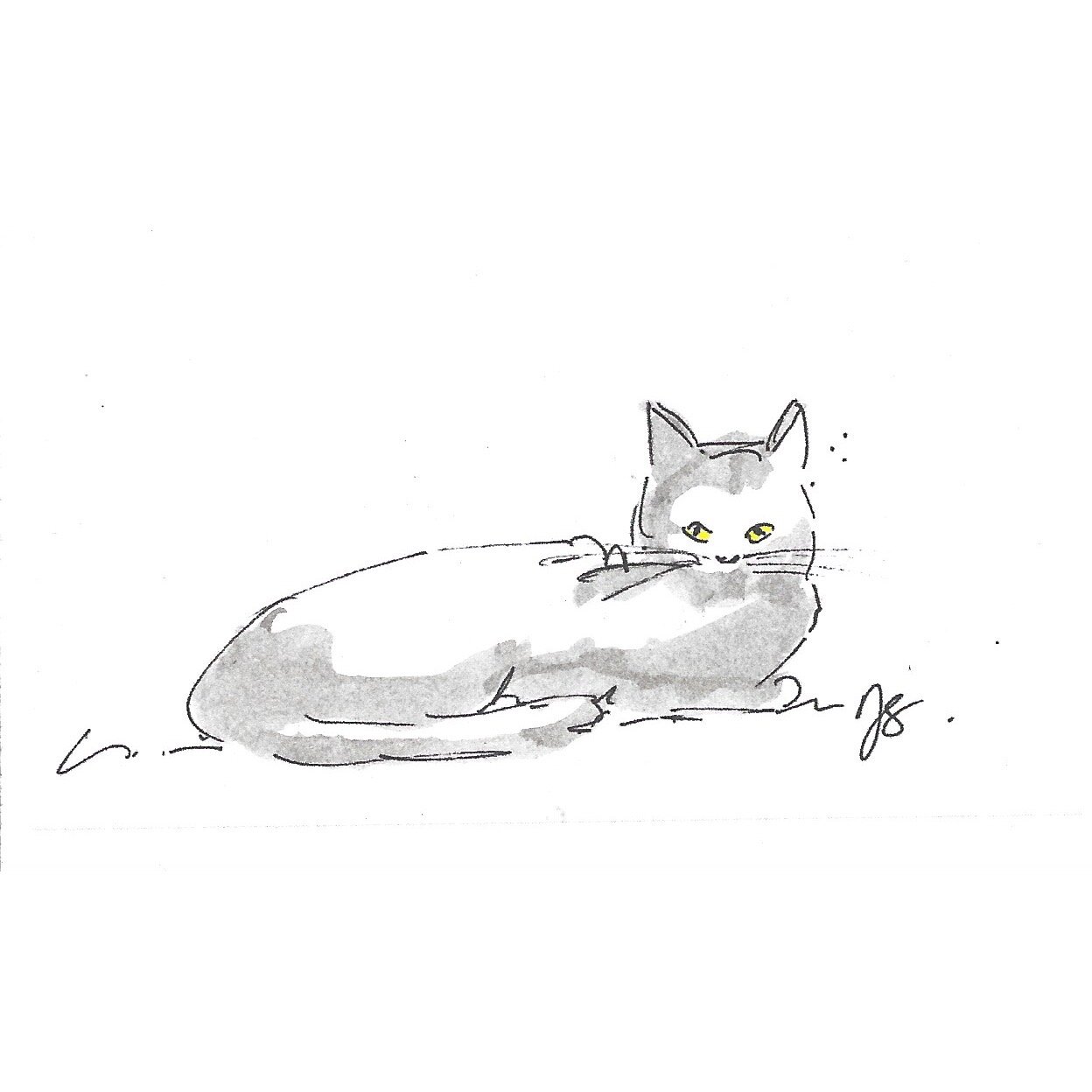 Whitagram-Image.jpg