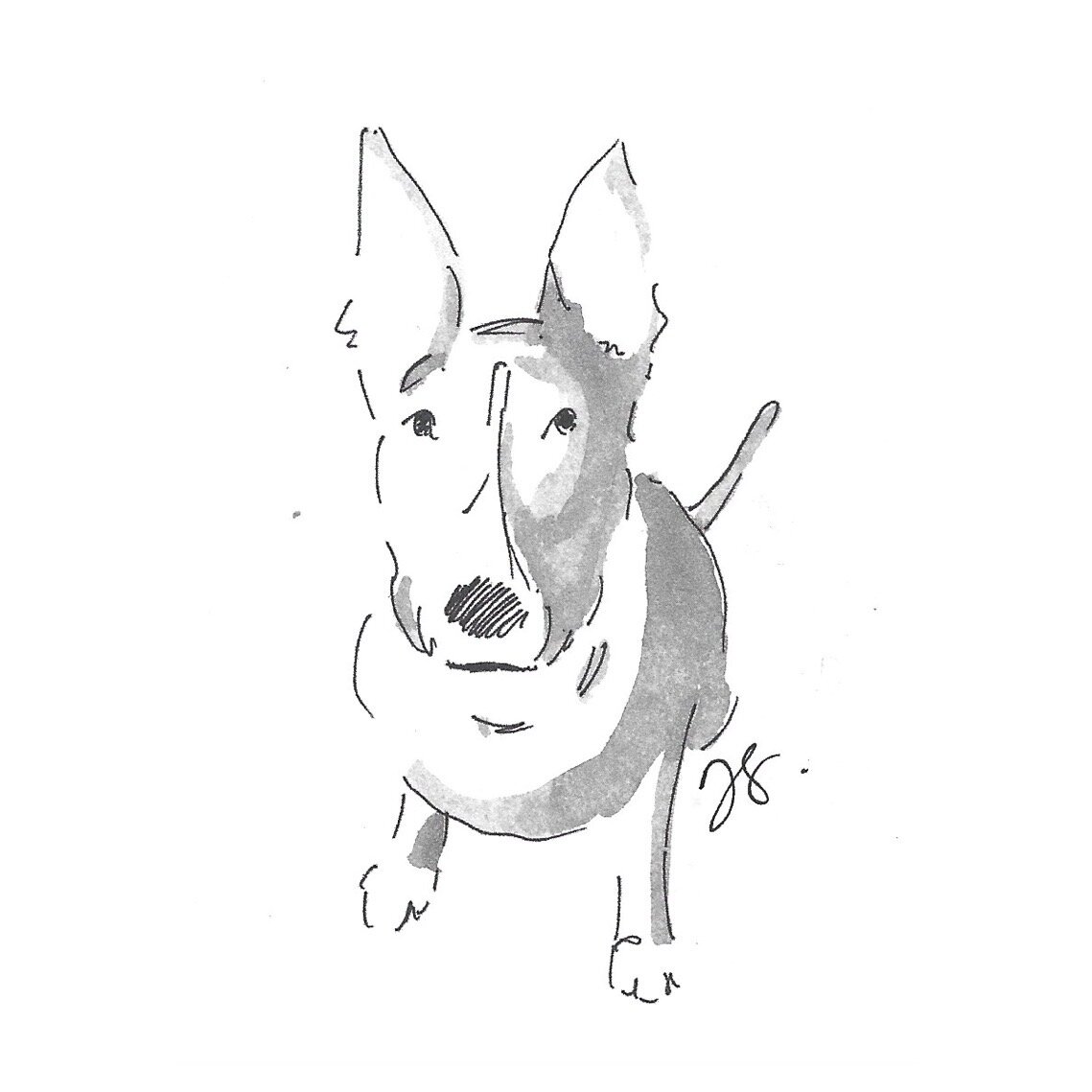 Whitagram-Image.jpg