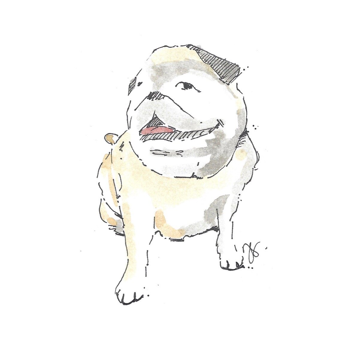 Whitagram-Image.jpg
