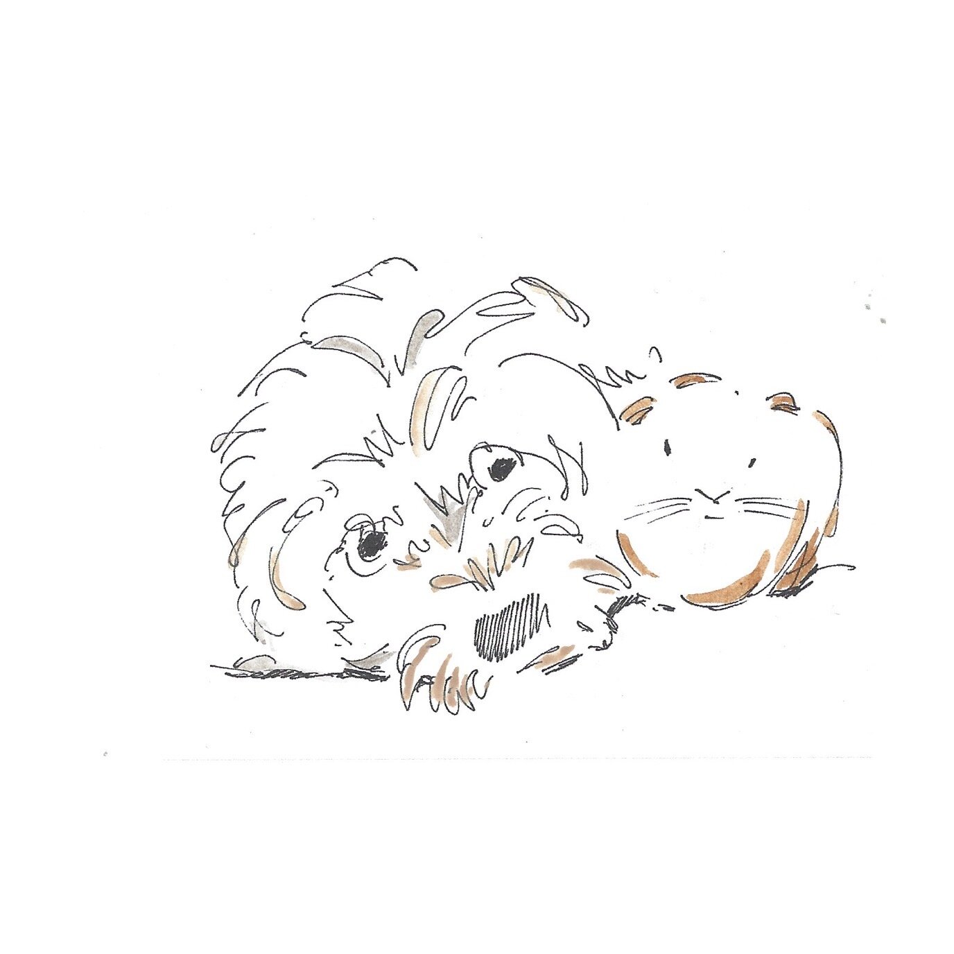 Whitagram-Image.jpg