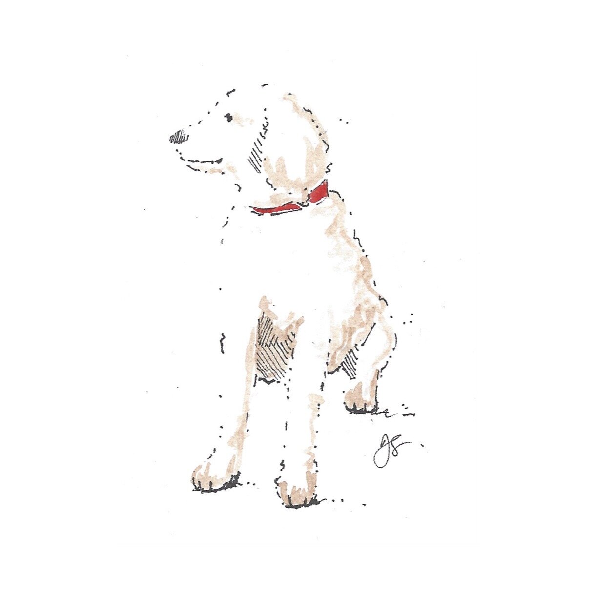 Whitagram-Image.jpg