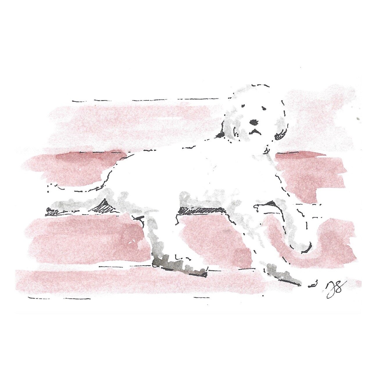 Whitagram-Image.jpg