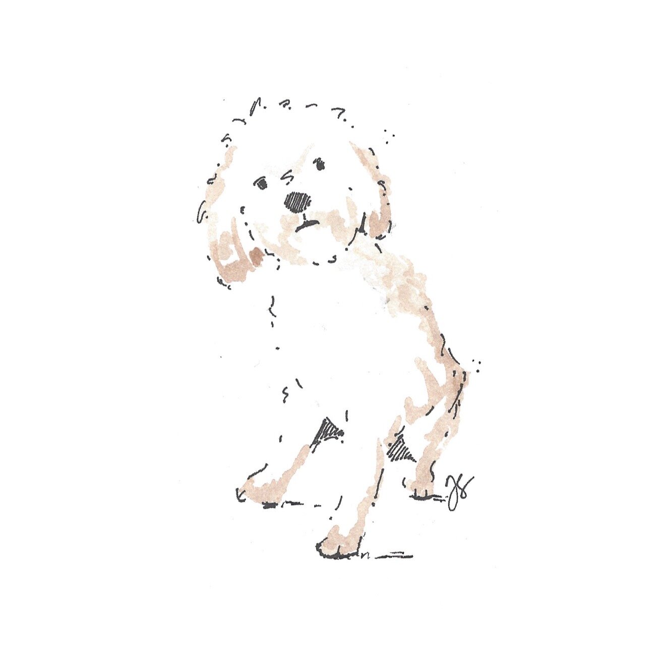 Whitagram-Image.jpg