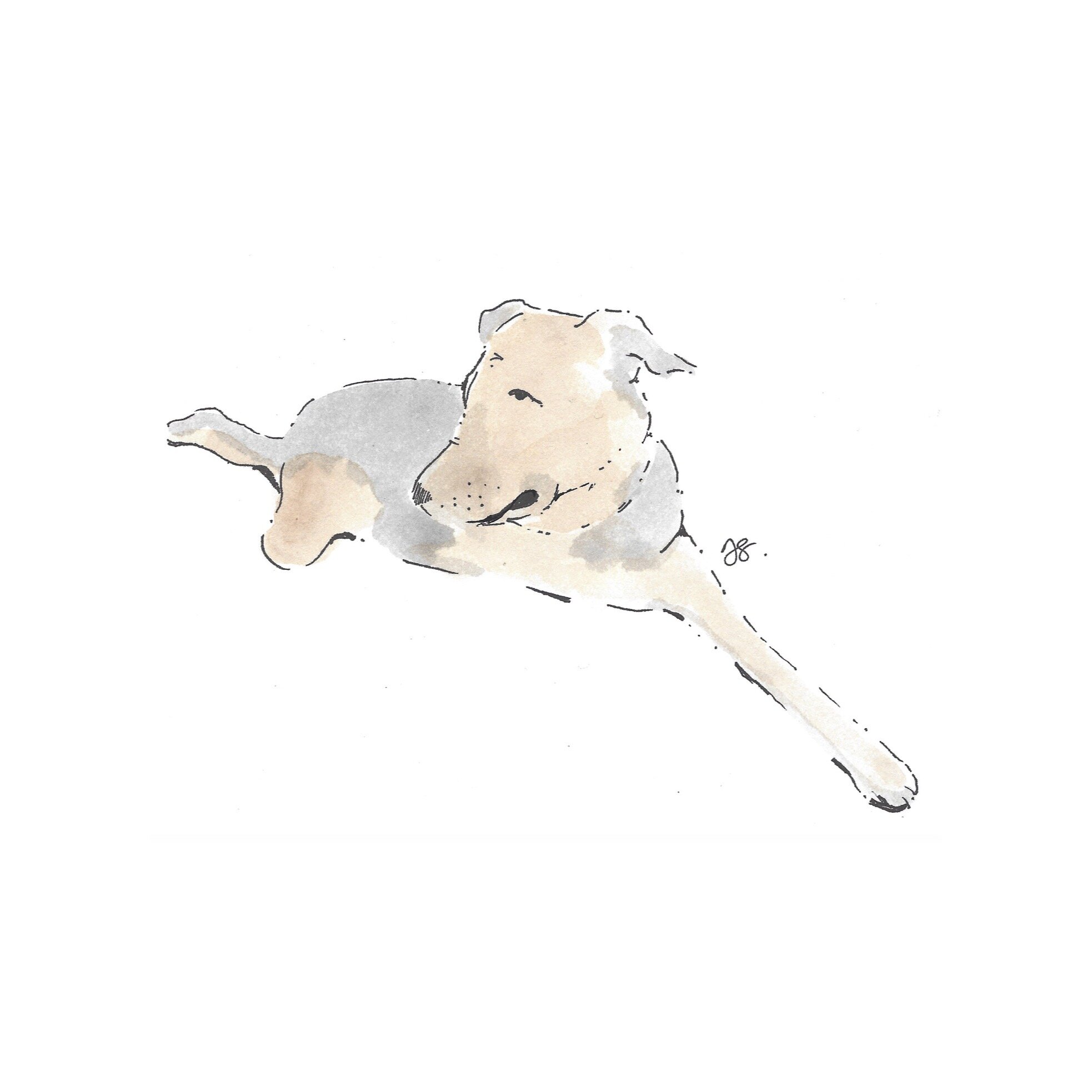 Whitagram-Image.jpg
