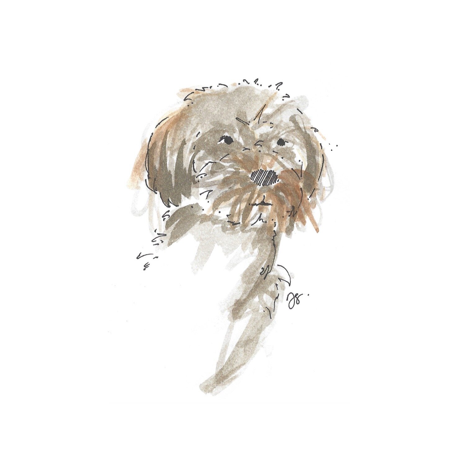 Whitagram-Image.jpg