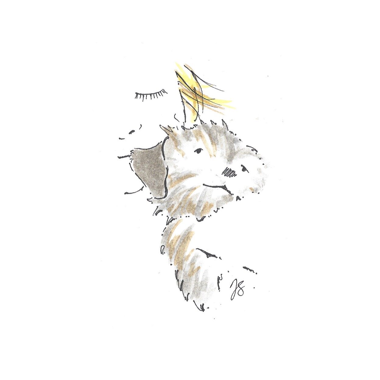 Whitagram-Image.jpg