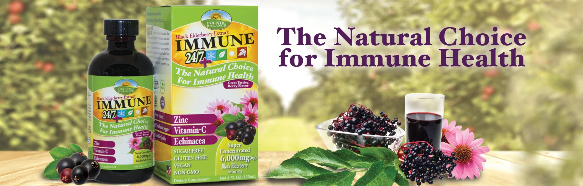Holistic-Balance-Banner-Elderberry.jpg