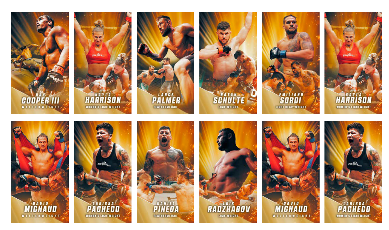 MSG_ Championship_ Hallway Graphics copy.png