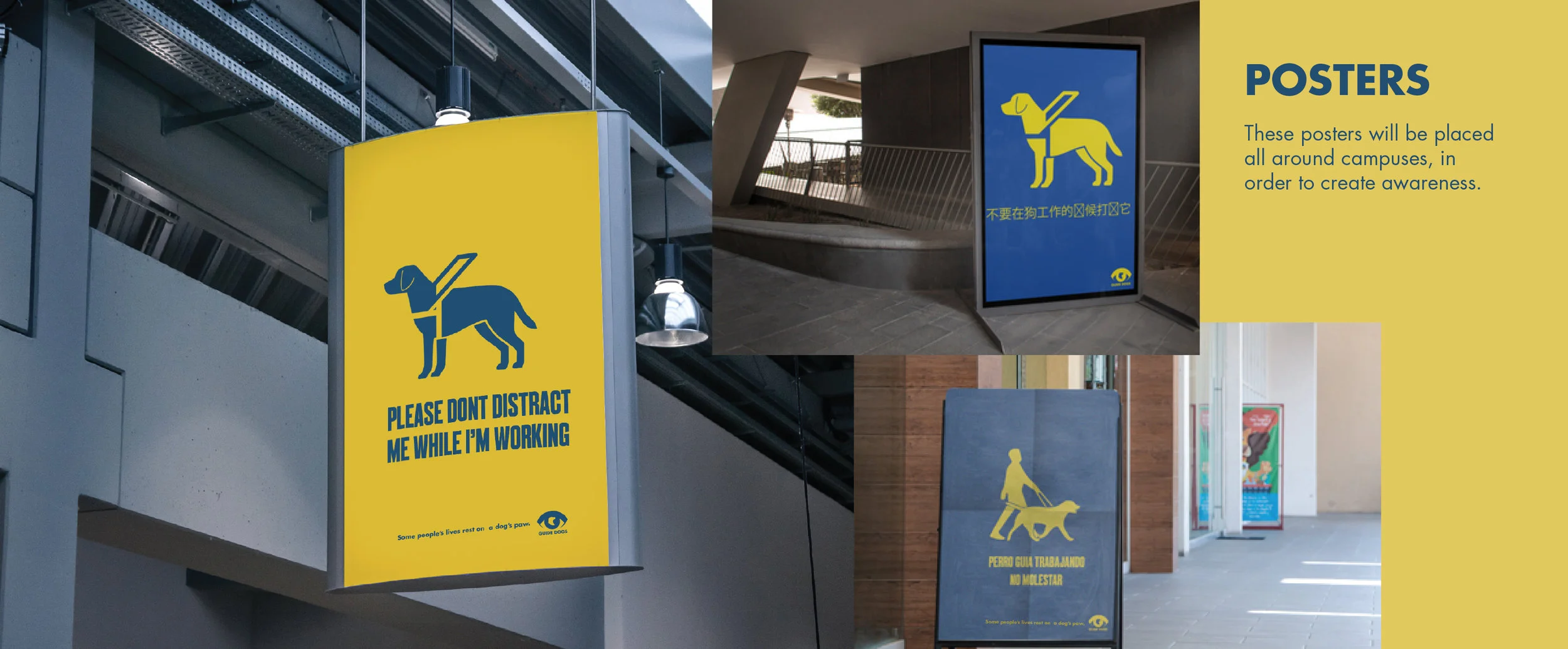 GuideDogsfinal-4.jpg