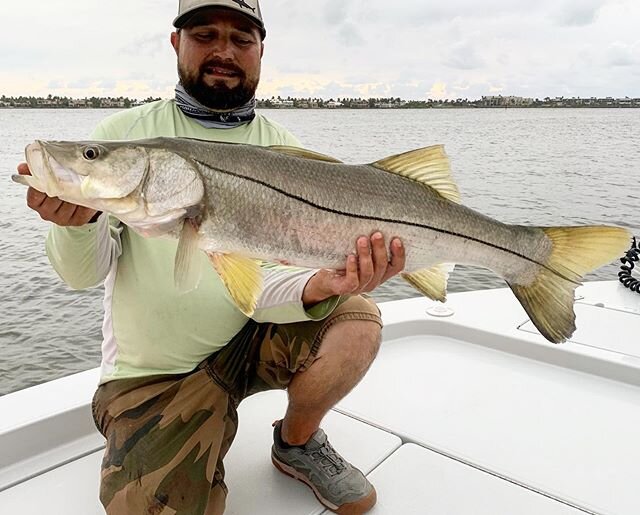 Only one thump this morning but a good one.  #snook #hellsbayboatworks  #stlucieriver #hbestero #raymarine #starrods #quantumfishing #stuartfl #inshorefishing #fishing