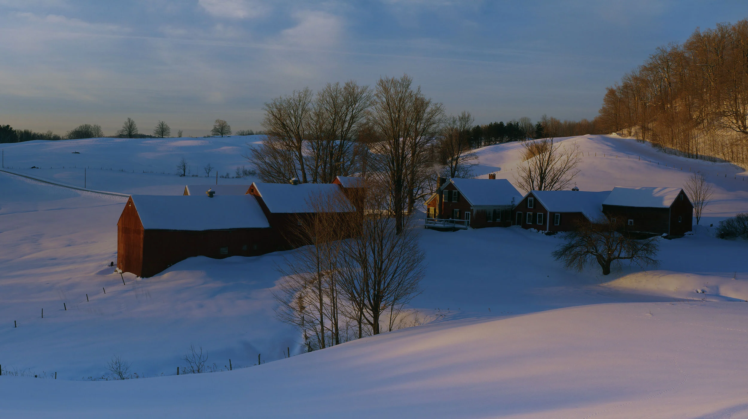The-Richards-Group-Home-08-1216.jpg