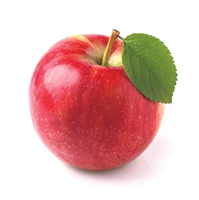 Apple.jpg