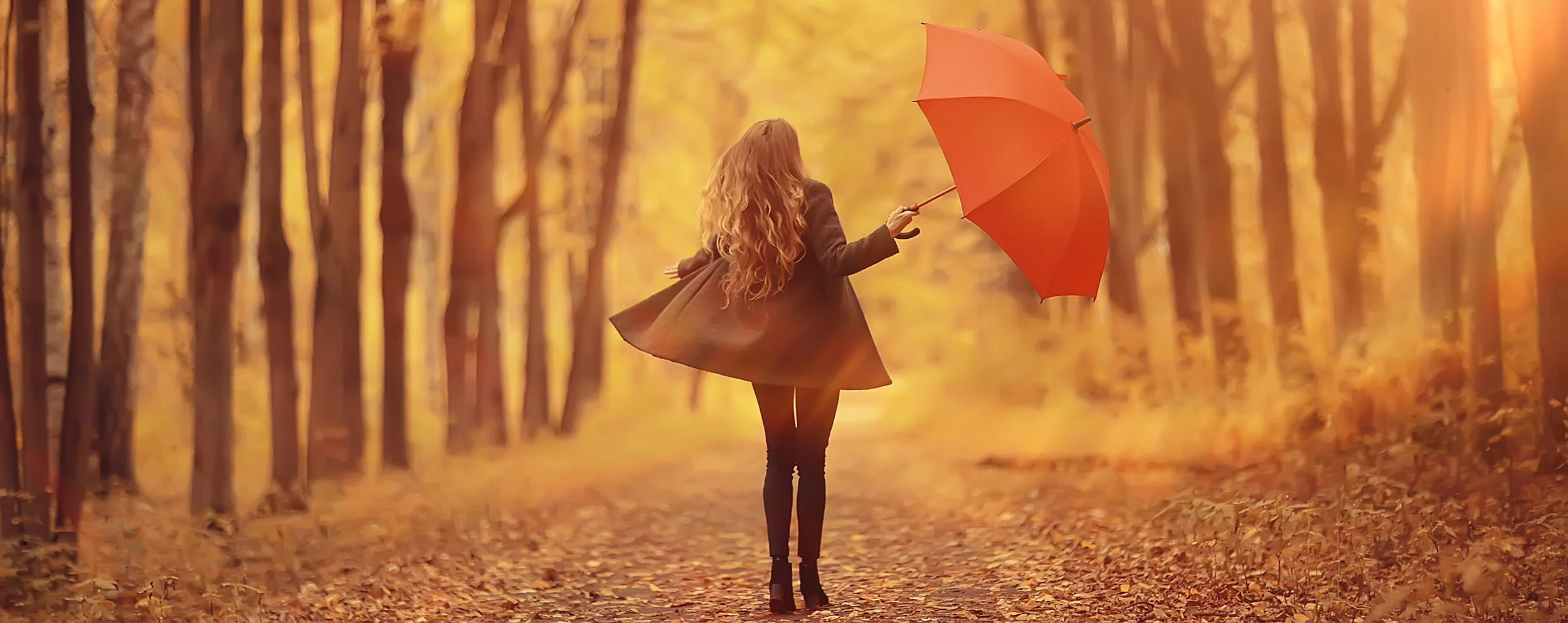 TRG-PL-Umbrella_341659846.jpeg