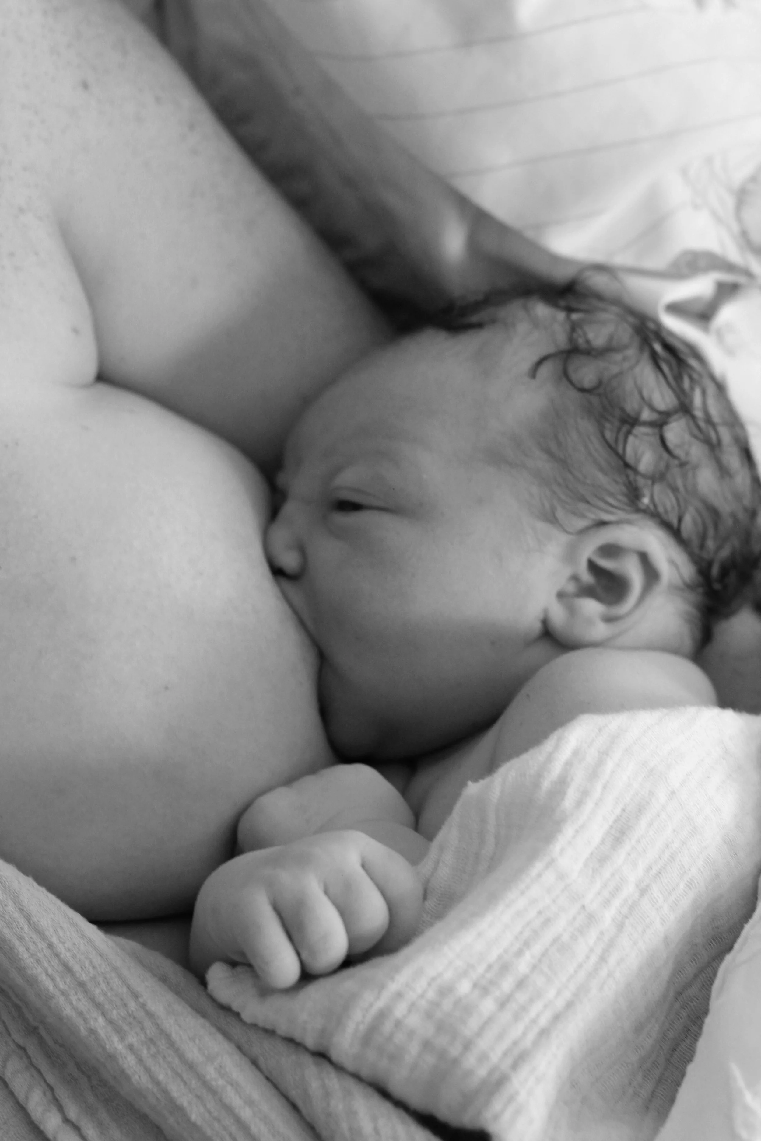 B&W breast feed.JPG
