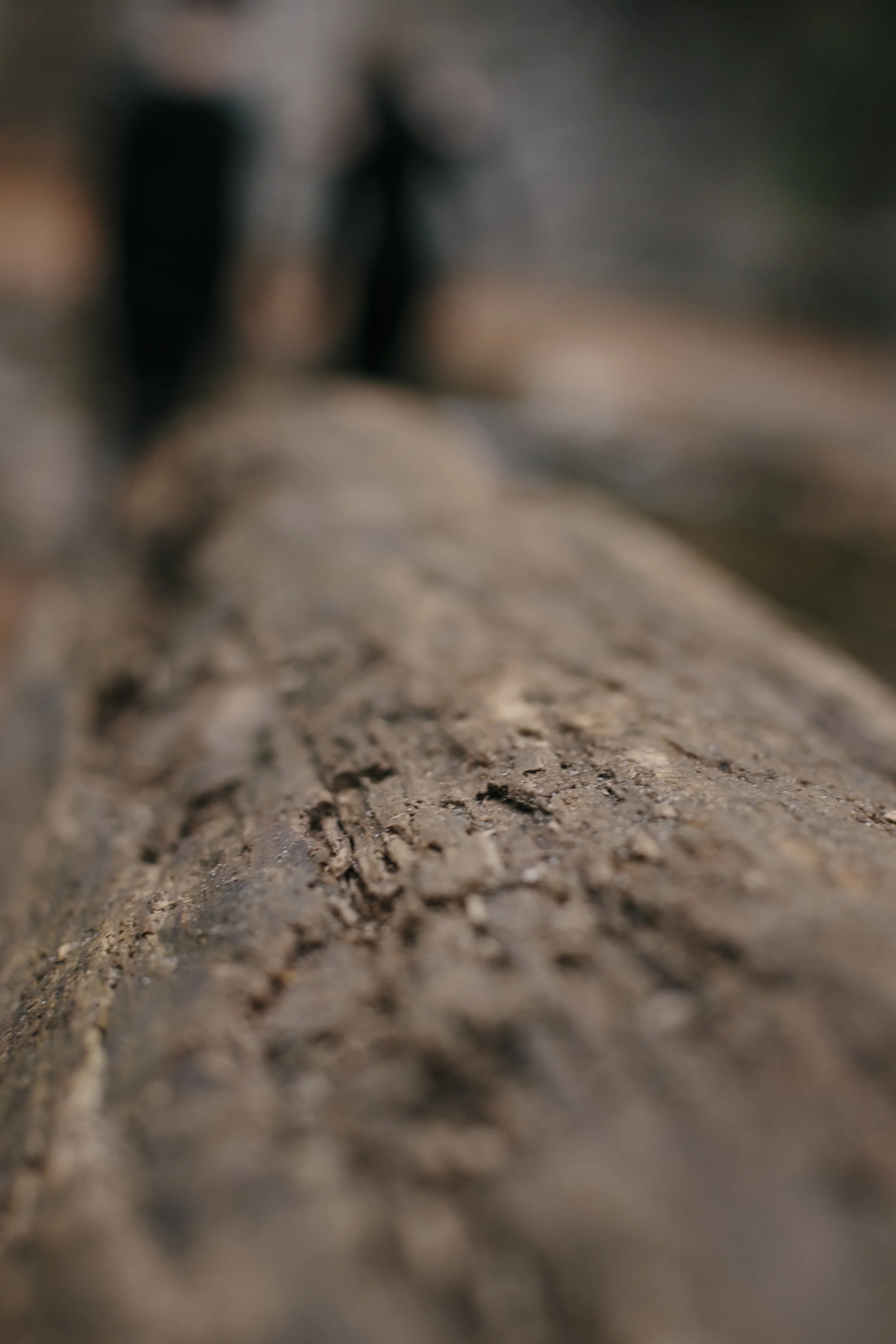 CKEdits-102.jpg