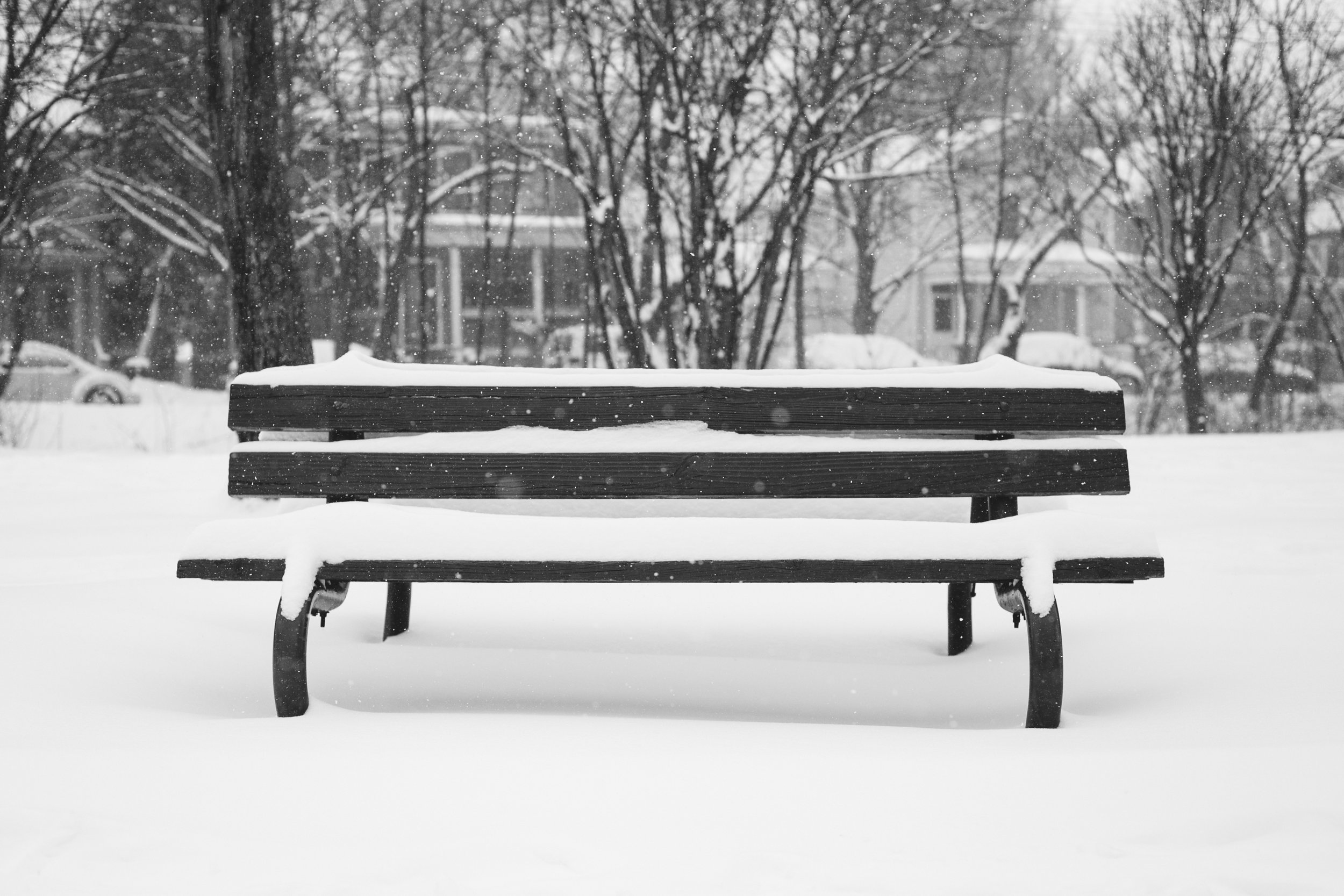 More Nor'easter-28.jpg