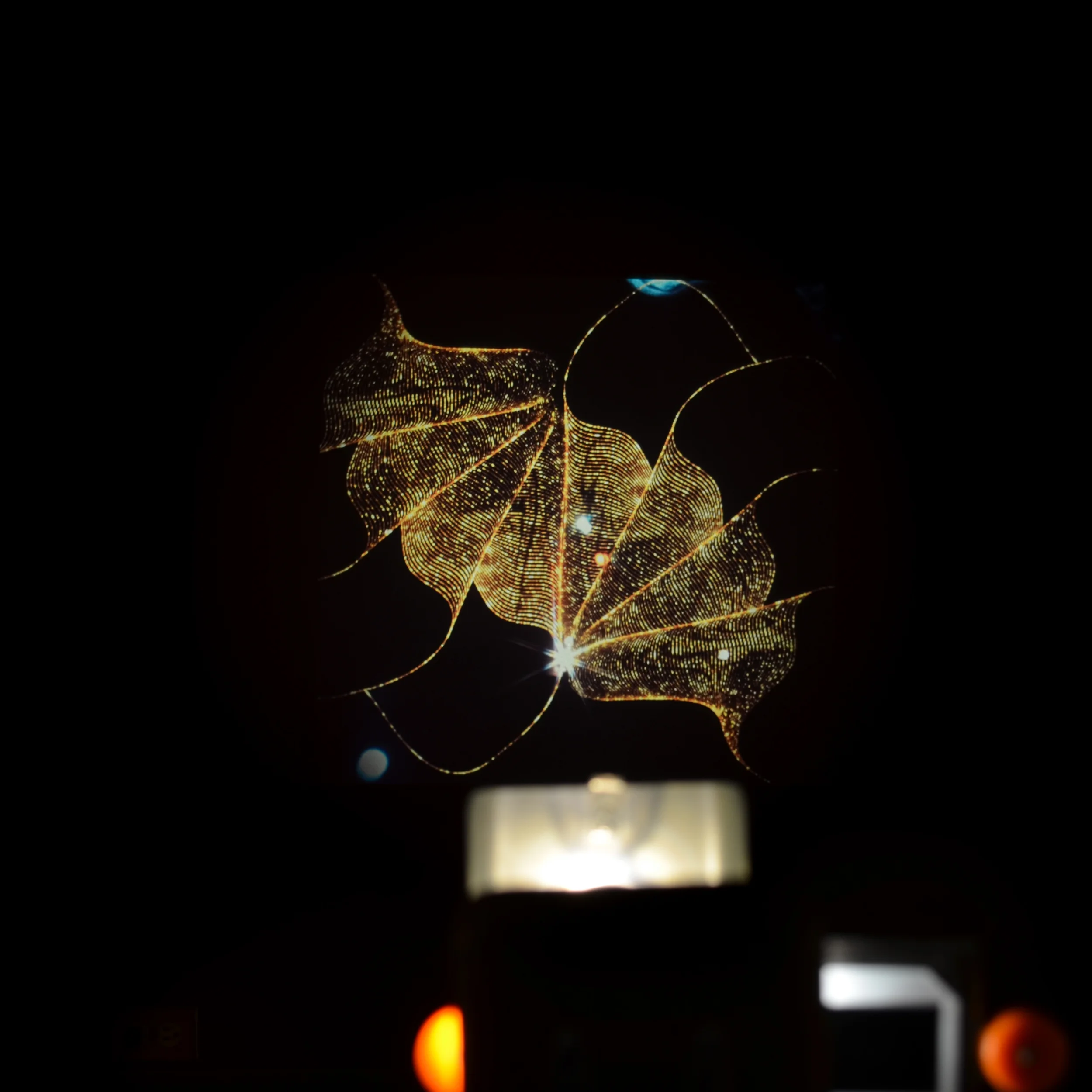 Alpex_BlurPro_CProjection.jpg