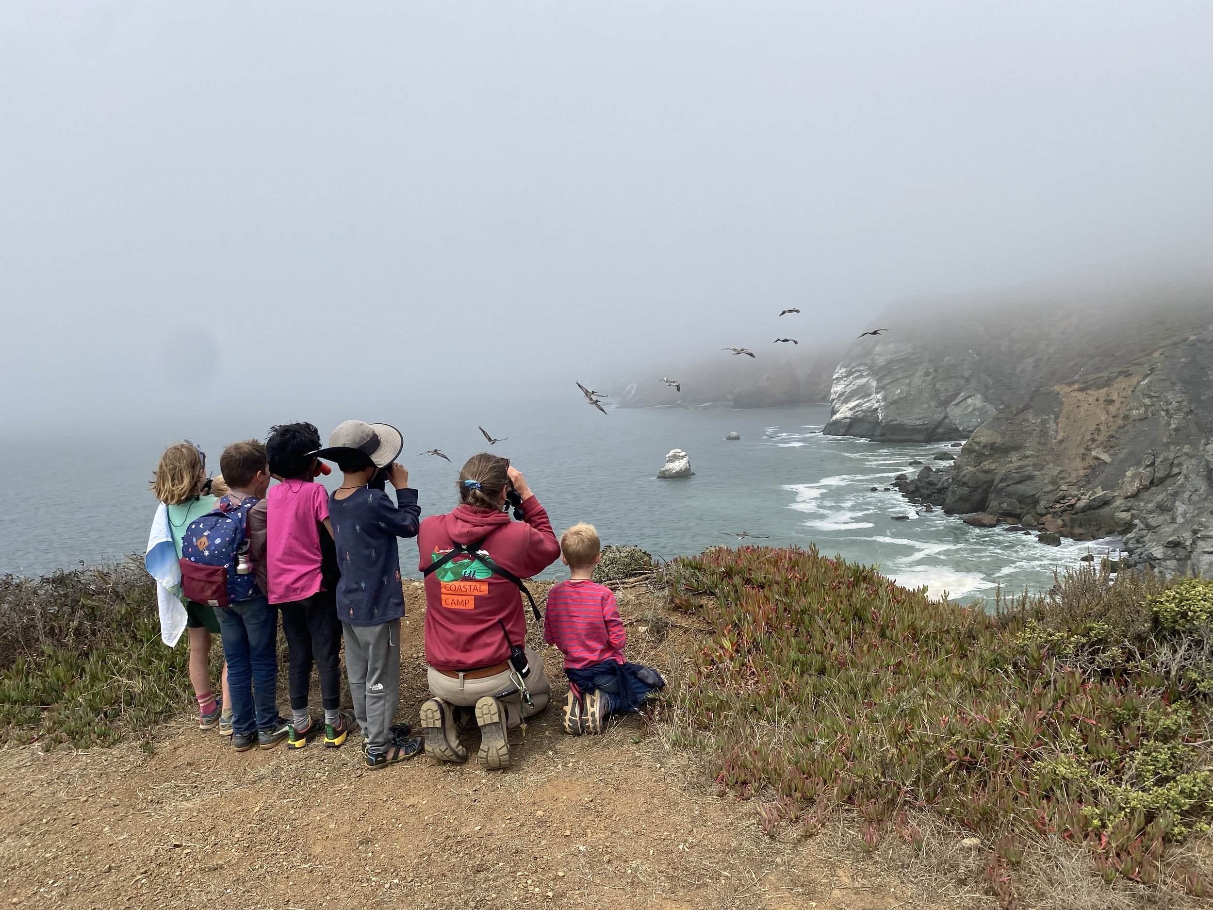 Copy of IMG_7579.jpg