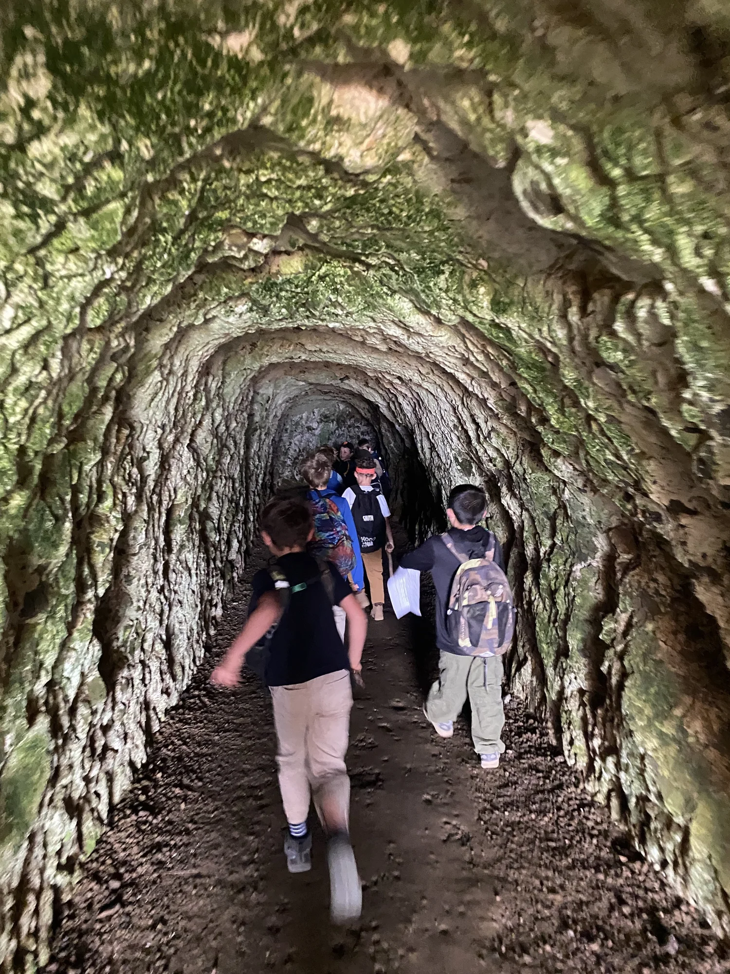 Grades 5 - 6 — Coastal Camp