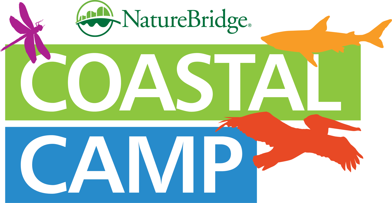 Coastal Camp