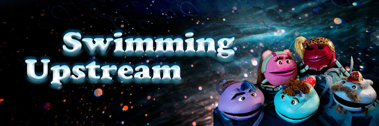 SUS-Banner_002-im.jpg