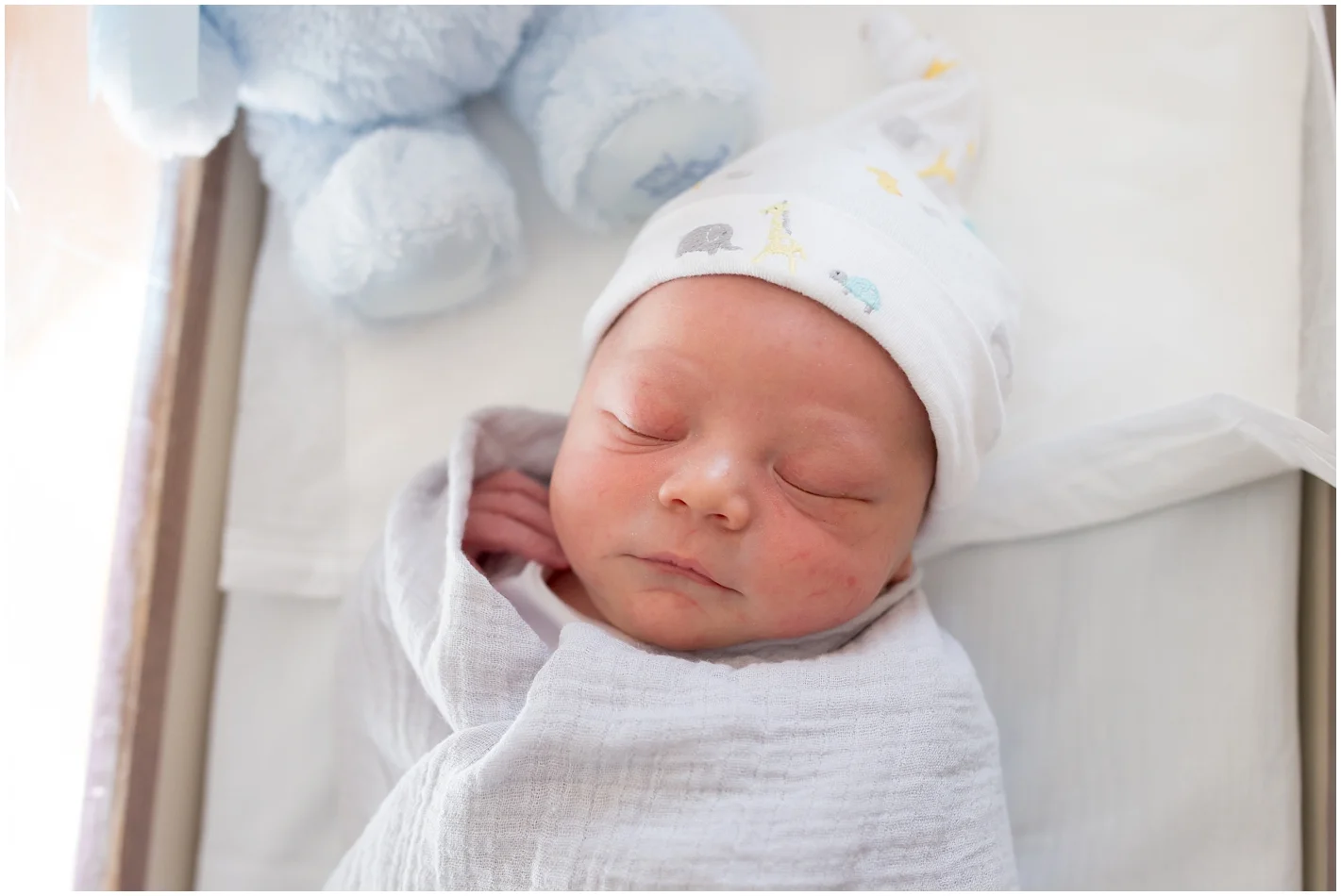 Newborn photo South Shore Massachusetts