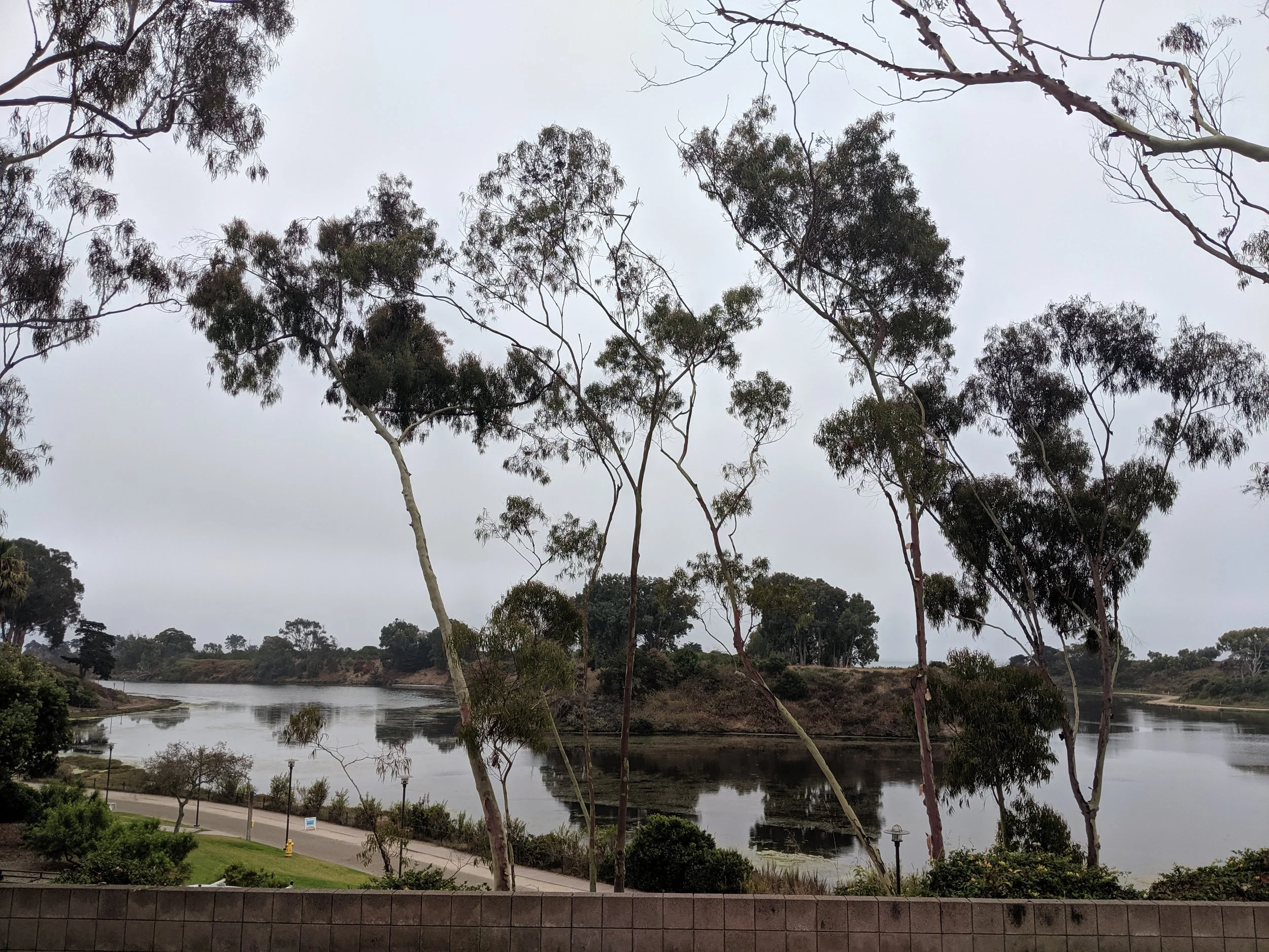 Great to be back on my old Campus for the Impulse New Music Festival!