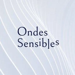 Interview on our album on Ondes Sensibles (in French)