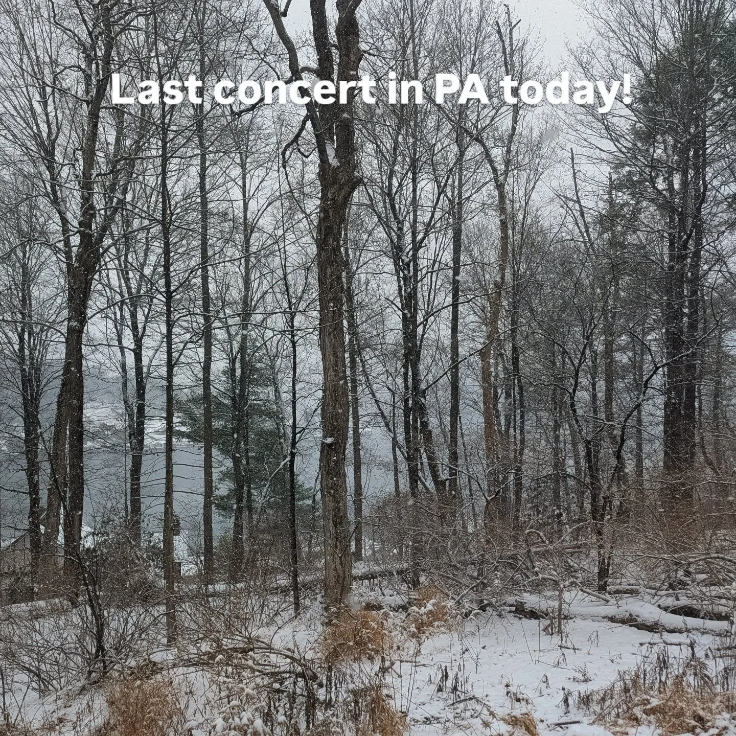 Brahms and Mozart with John Vaida, Amy Iwazumi, Aur&eacute;lien Pederzoli, Erin Ellis and Lisa Caravane.