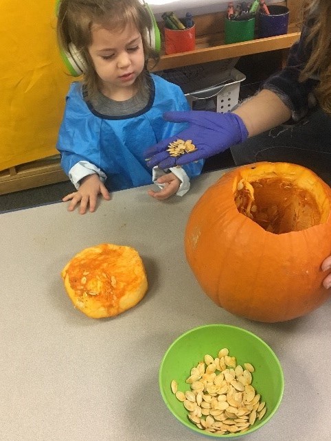KANGA PUMPKIN 1.jpg