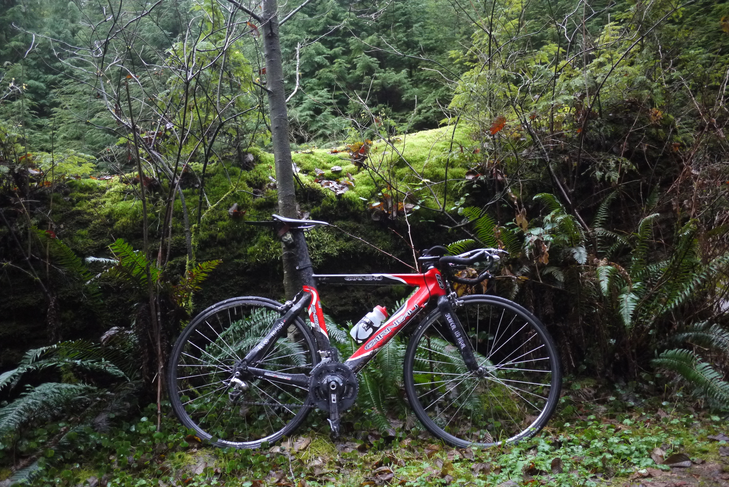 Riding funny bikes into a rainforest.