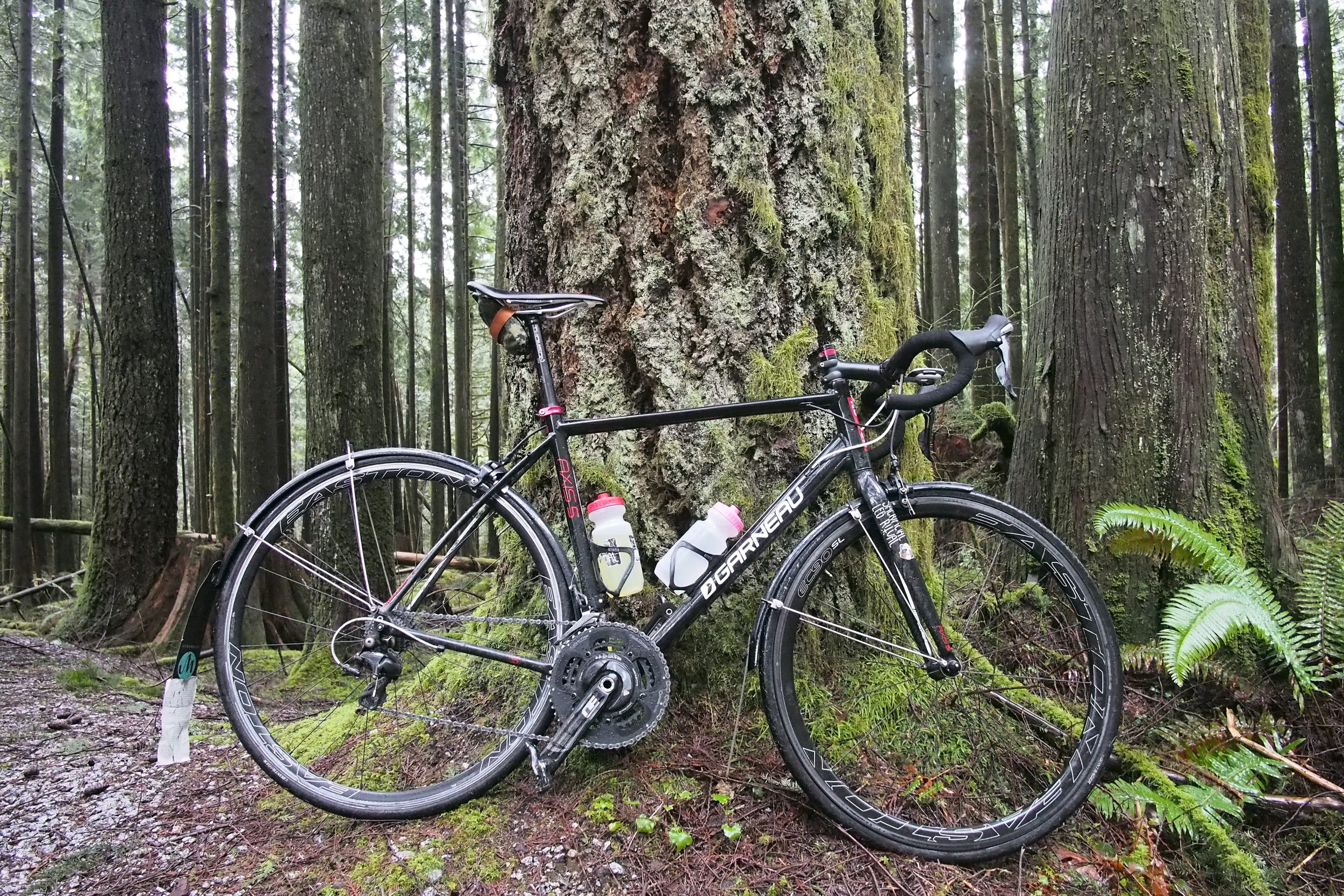 Golden Ears Provincial Park training, 'so BC' says Erin. Not pictured, solo'ing 120km in 3:40 in the rain, my legs still hurt today.