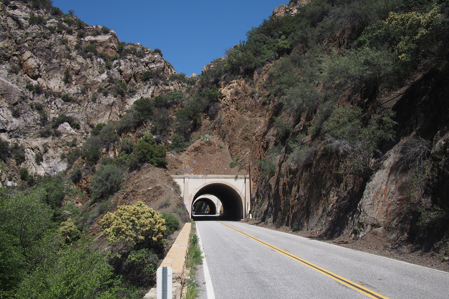  GUYS. GUYS. GUYS. A TUNNEL! There was another one too! 