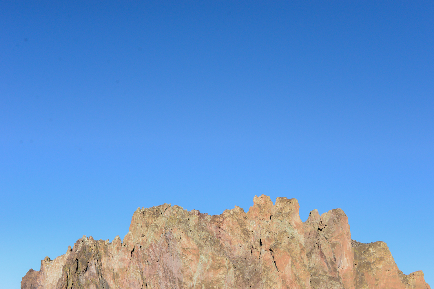 SHRED BLOG NOVEMBER-4.jpg