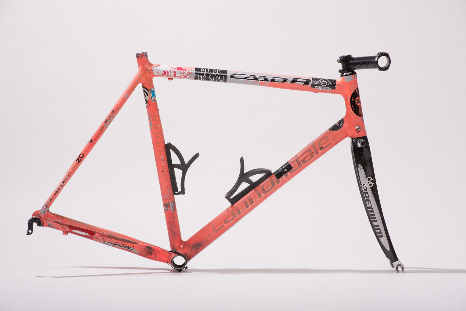 SHRED BLOG NOVEMBER-46.jpg