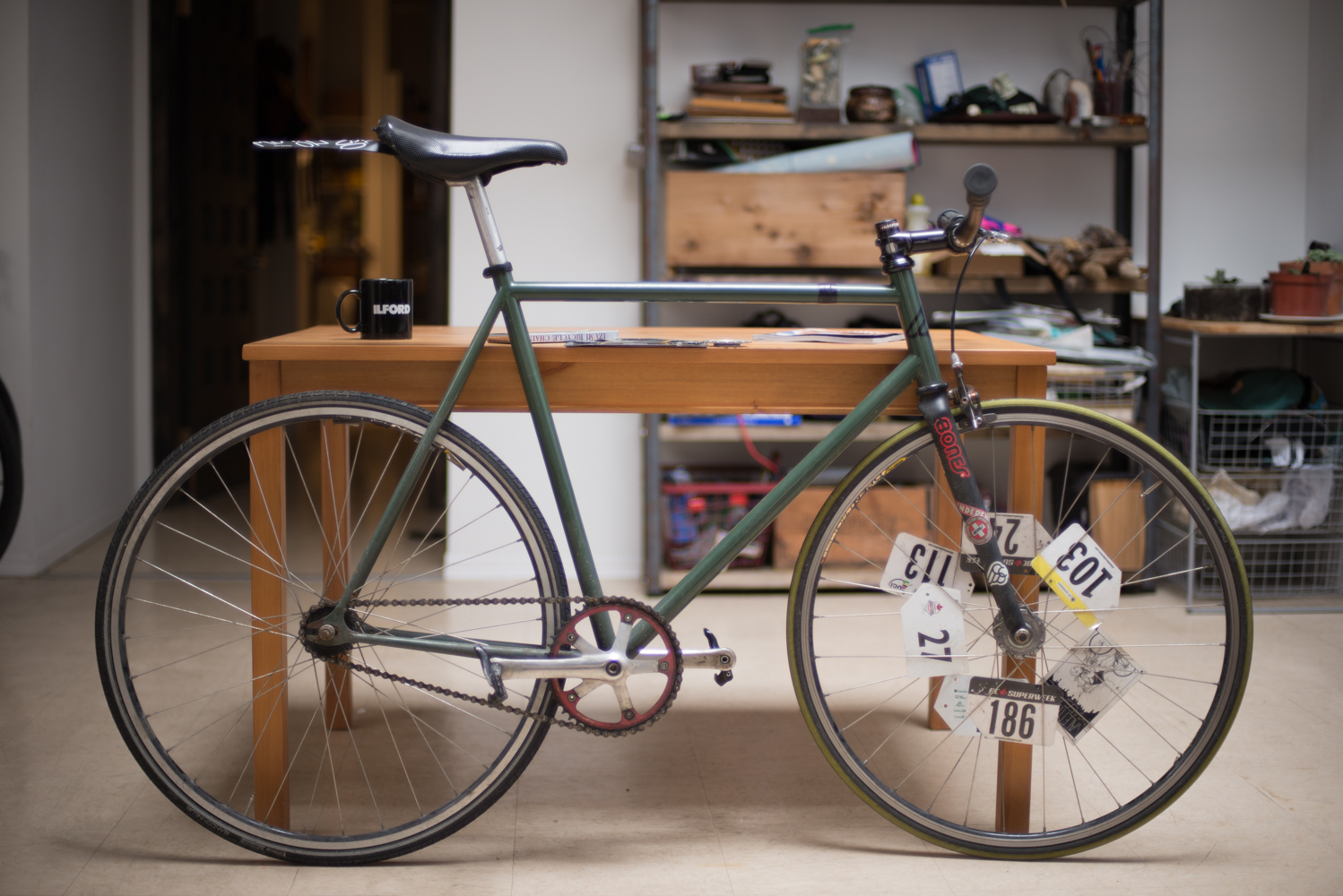 SHRED BLOG NOVEMBER-47.jpg