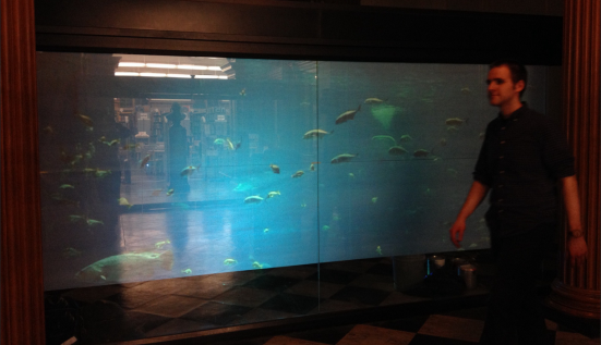 FISH TANK