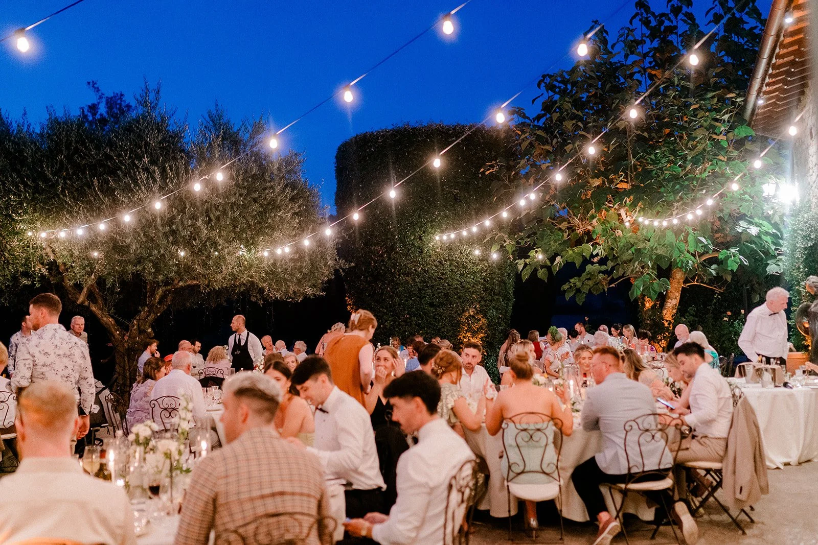 WEDDING PREVIEWS _ D & T-187_websize.jpg