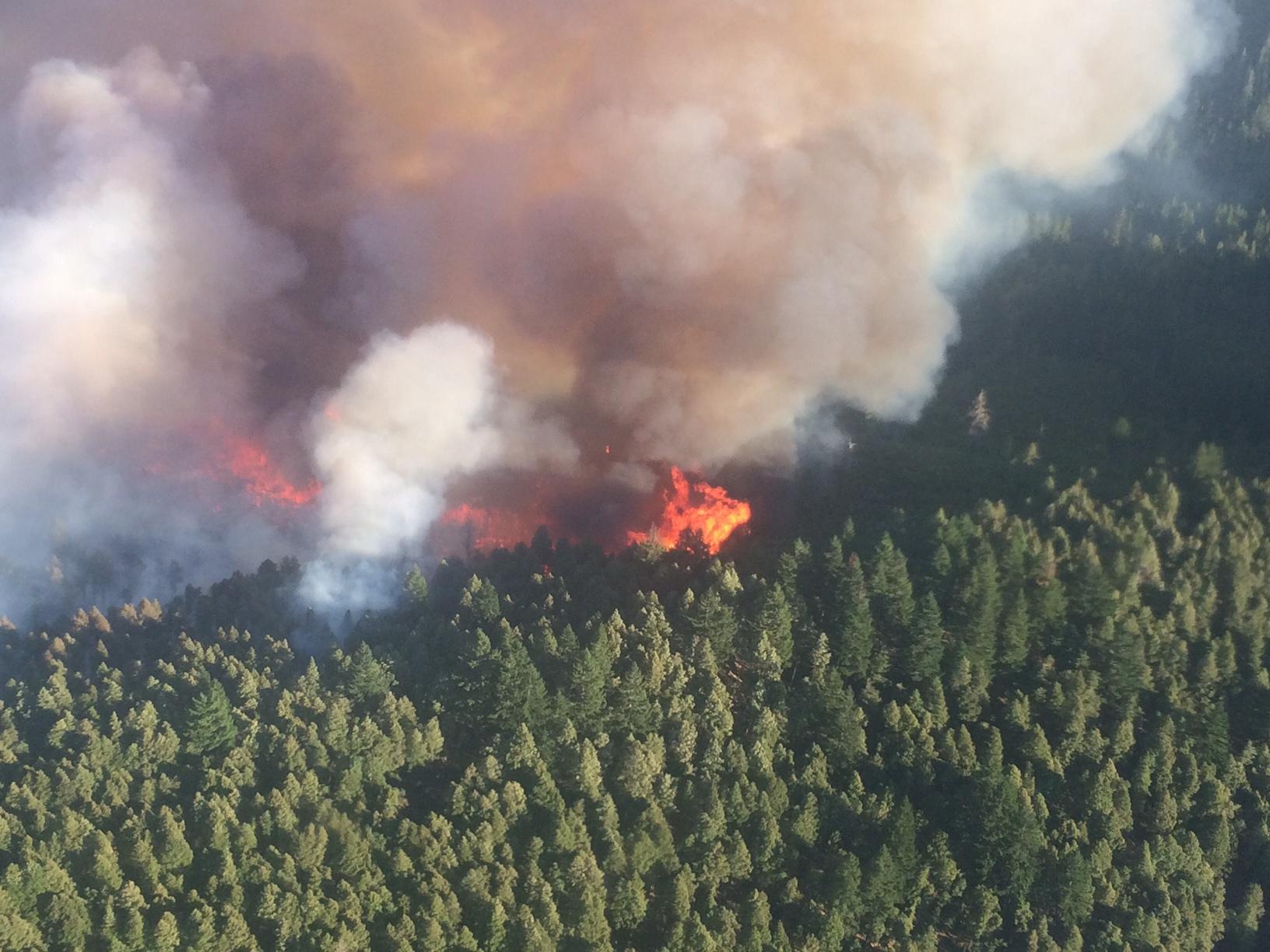 U.S. Forest Service photo of the Chetco Bar wildfire.