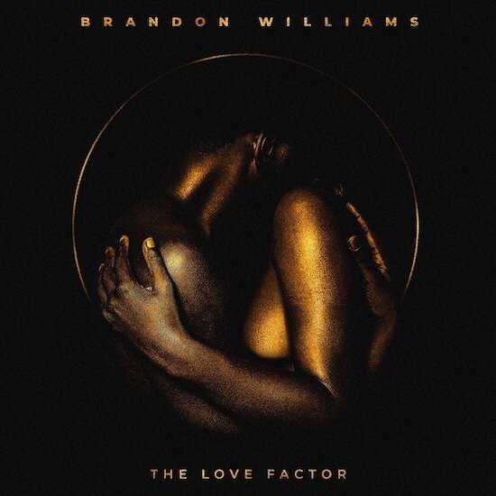 brandon-williams-the-love-factor-cover.jpg
